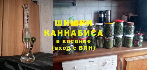 индика Абинск