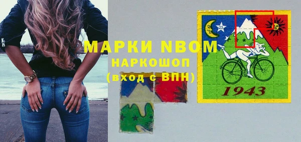 индика Абинск