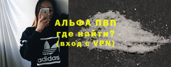 индика Абинск